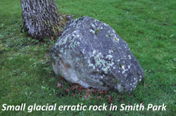 Small glacial erratic rock in Smith Park